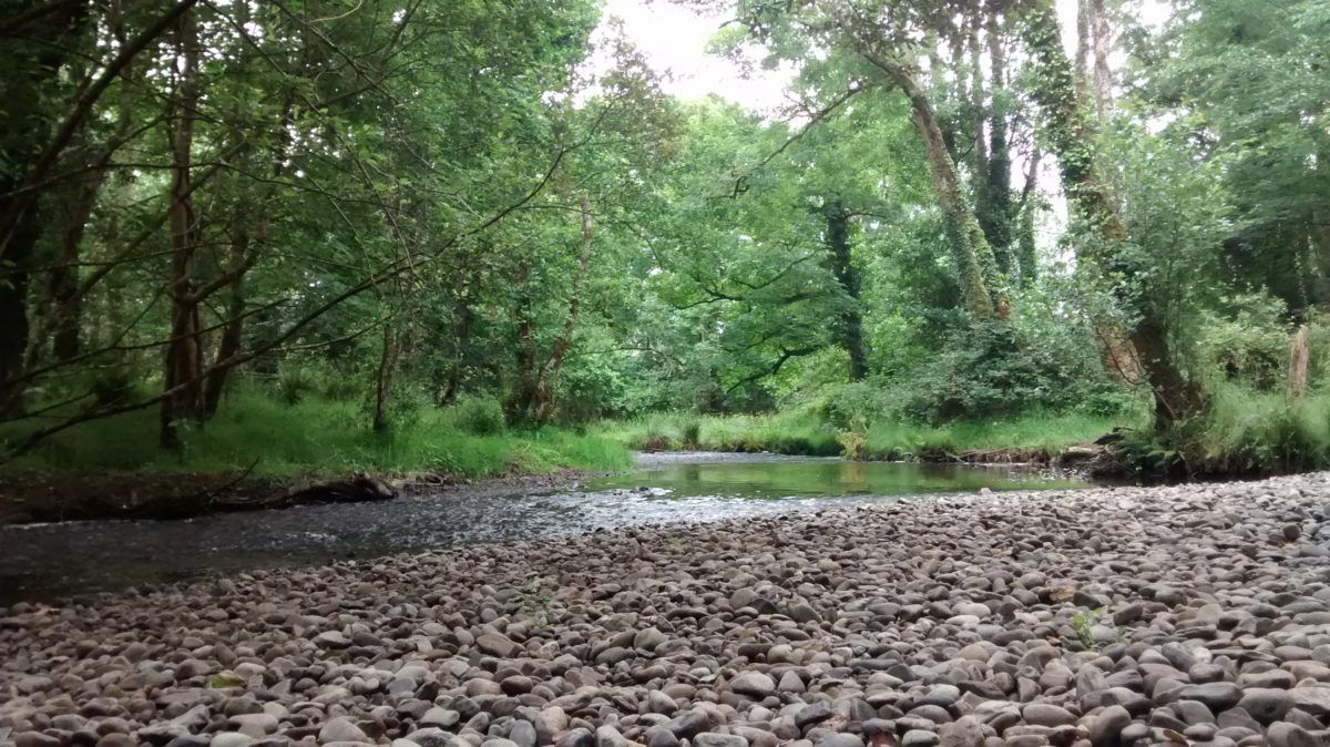 IMG_20160707_100308018