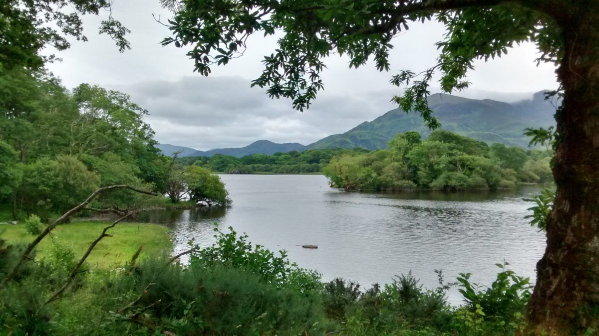 IMG_20160707_105019636_HDR